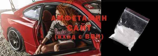 индика Карпинск
