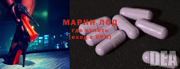 индика Карпинск