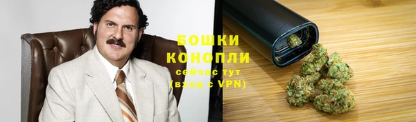 spice Касимов