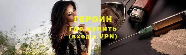 индика Карпинск
