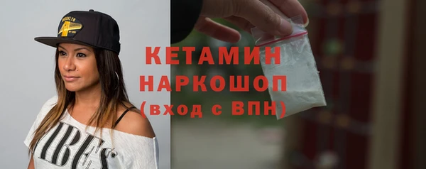 индика Карпинск