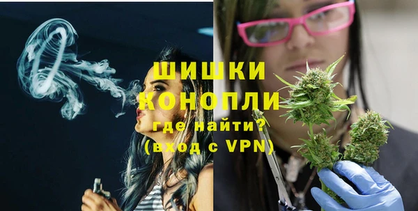 индика Карпинск