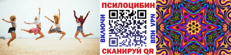 Купить где  Дубовка  Галлюциногенные грибы Psilocybe 
