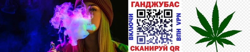 Купить где  Дубовка  Каннабис гибрид 